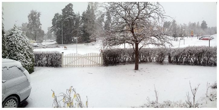 vinter.jpg
