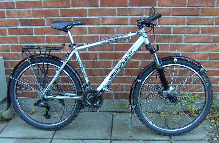 vinterkrak.jpg ht=474