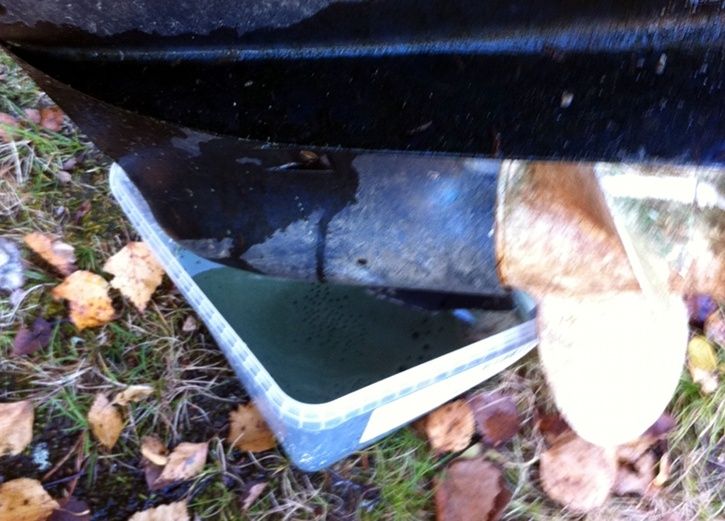 visadinolja.JPG ht=521