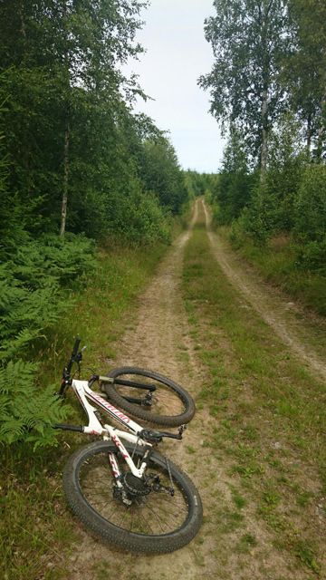 vitavatten1.jpg