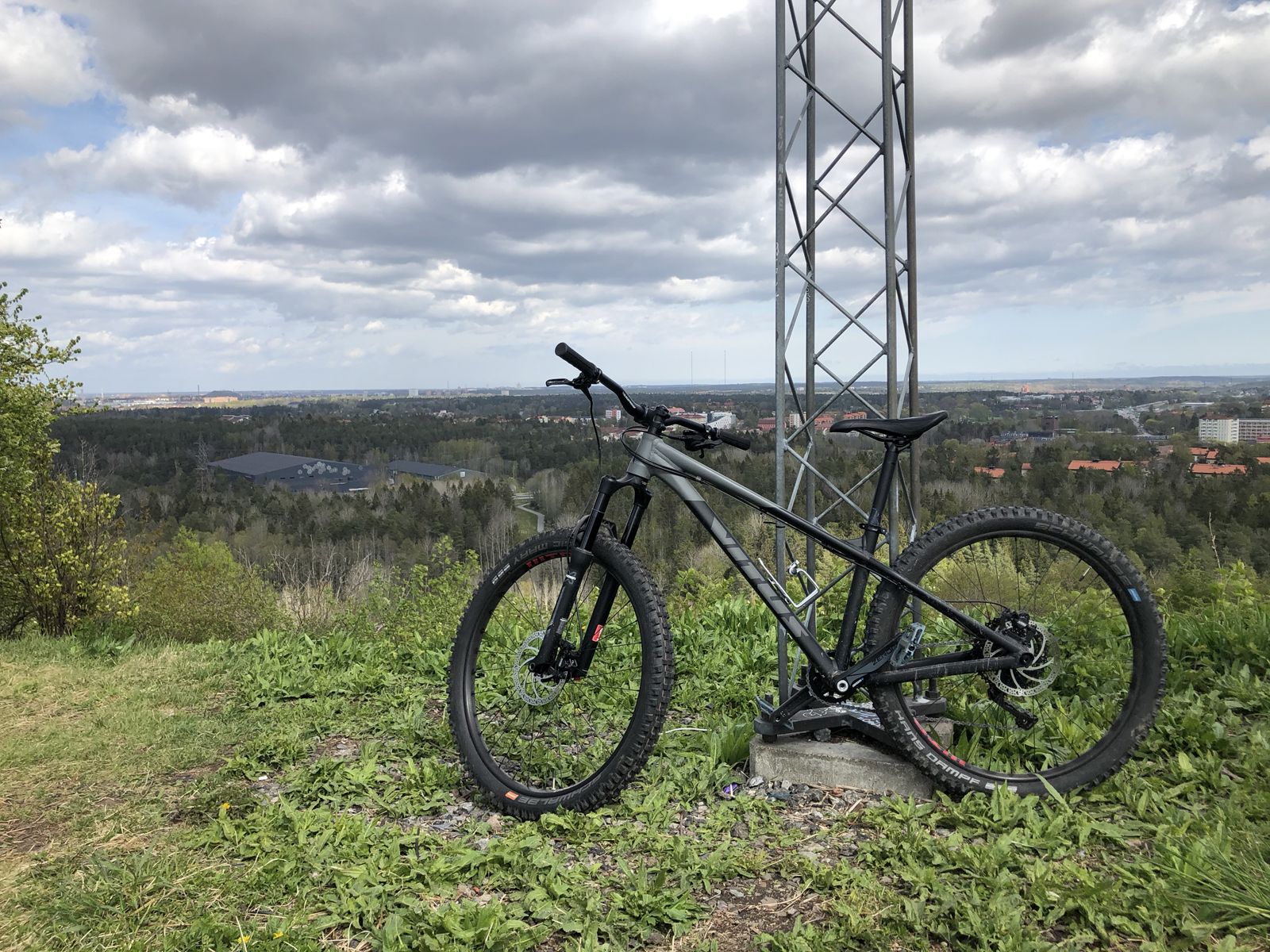 vitus.jpg