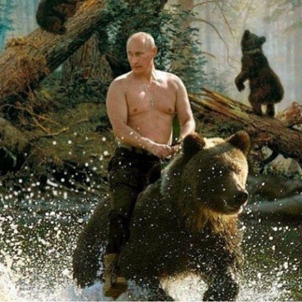 VladimirPutinthebarebackinbearback.jpg