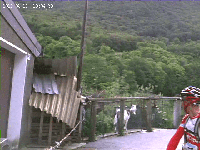 vlcsnap-2012-05-18-13h06m28s150.png