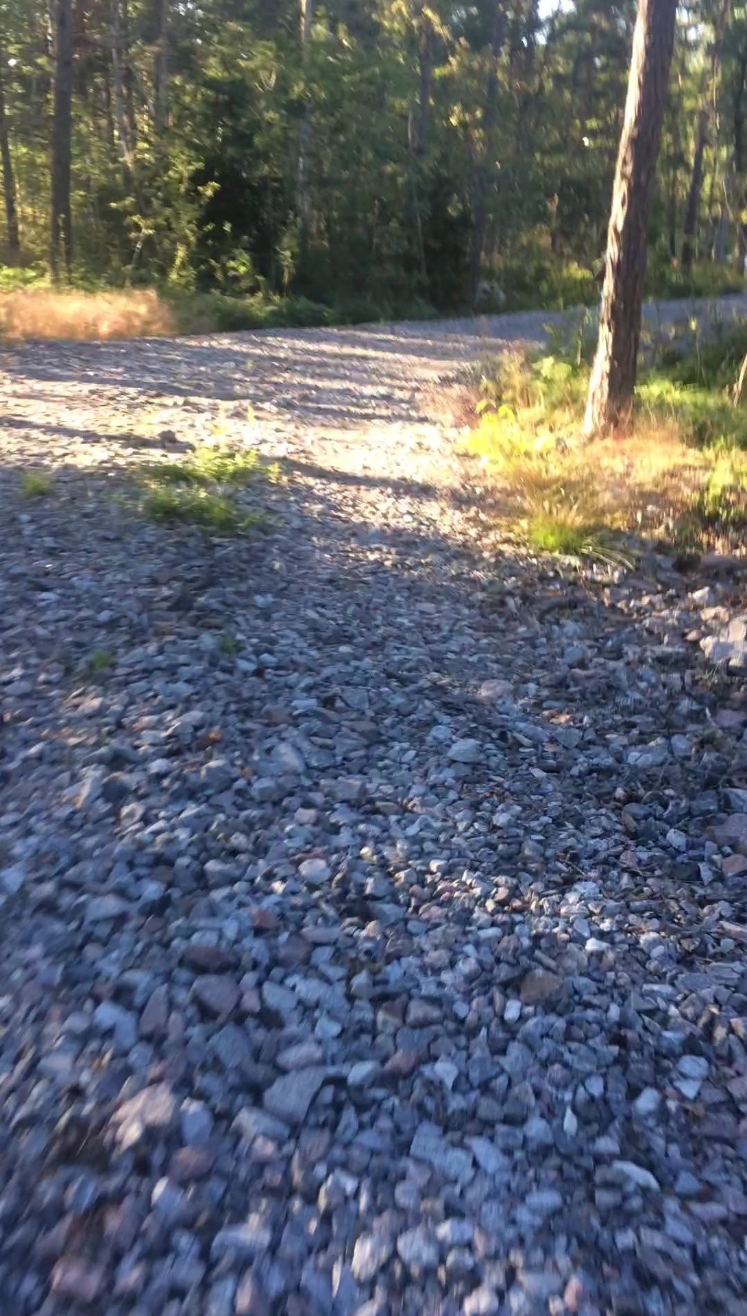 vlcsnap-2022-07-13-20h06m50s657.jpg