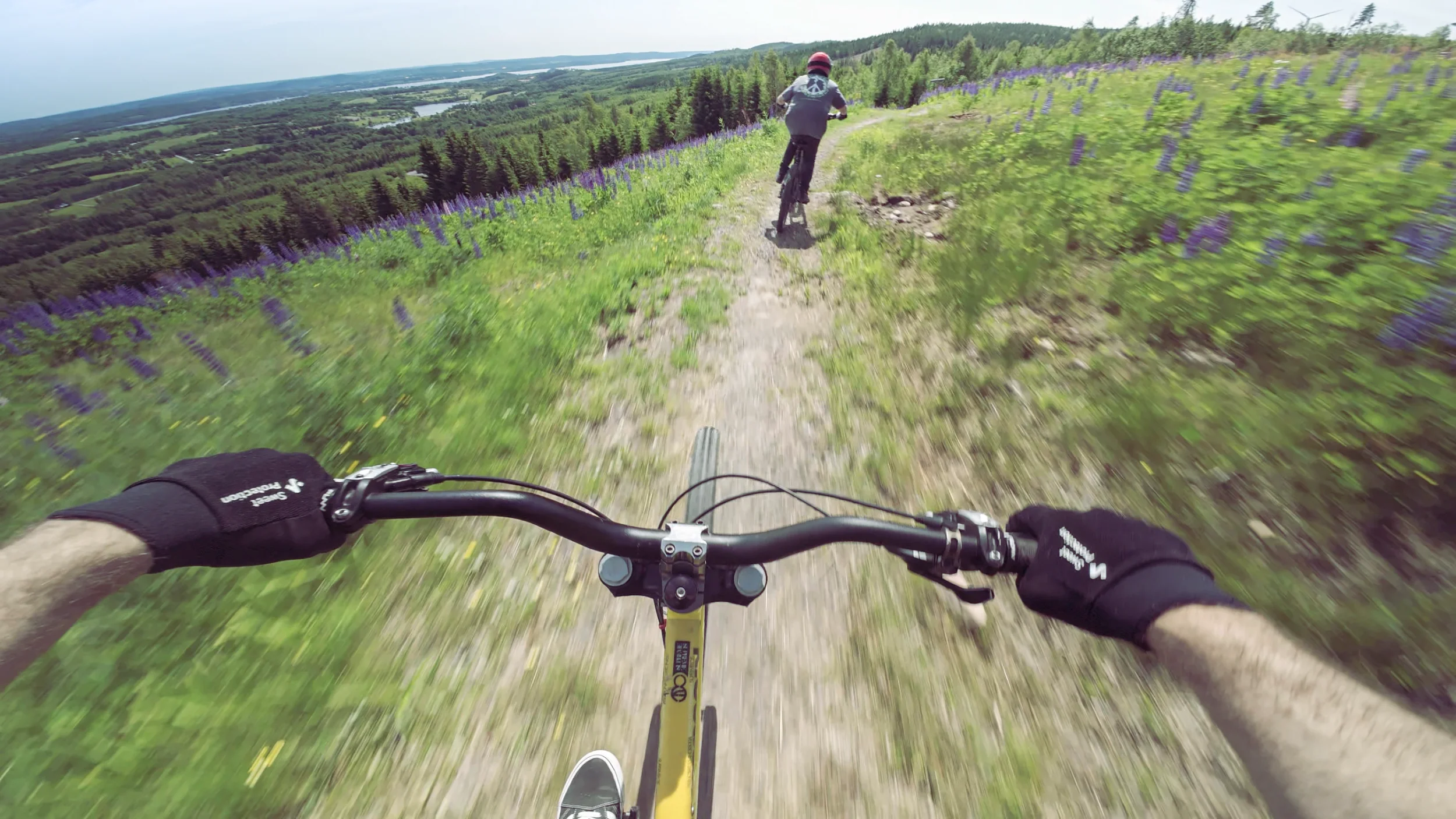 vlcsnap-2025-06-14-20h07m28s4102.webp