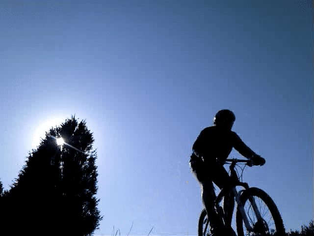 vlcsnap-979373.png ht=480
