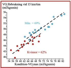 Hur Uppskatta Sitt Vo2max Bast Happyride