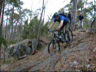 vurpa.gif ht=240