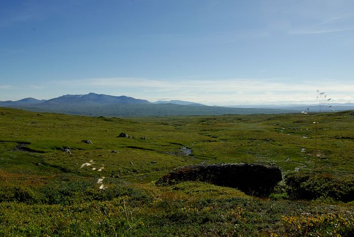 VyverSylarna2.jpg ht=469