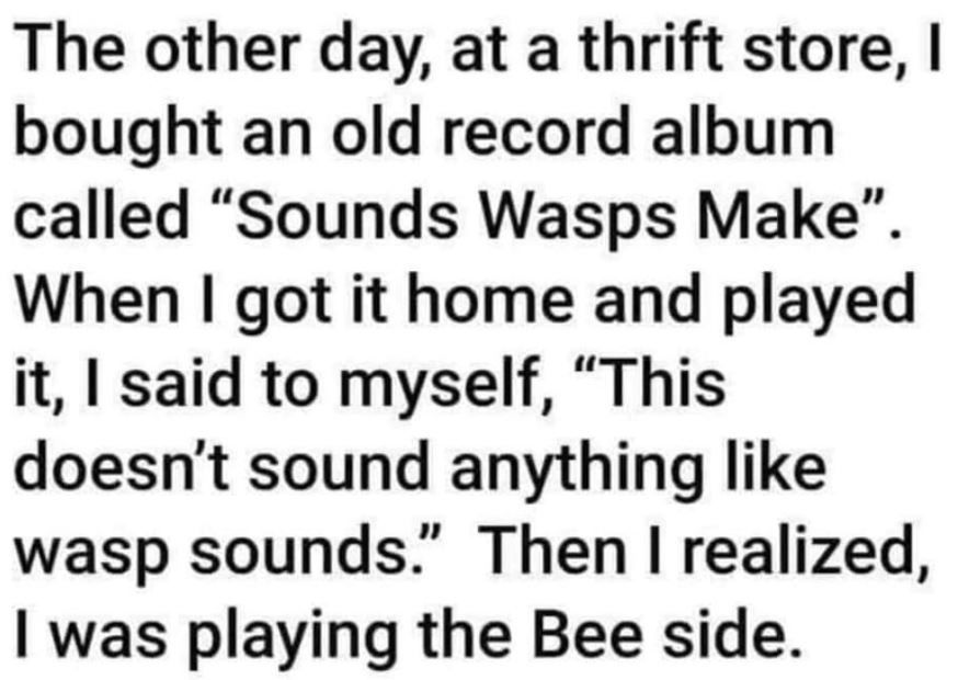 wasp.JPG
