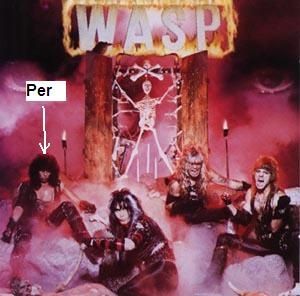 wasp201984.jpg ht=296
