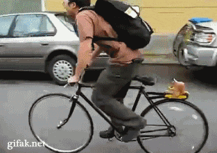 weird_device_for_a_bicycle-2162.gif