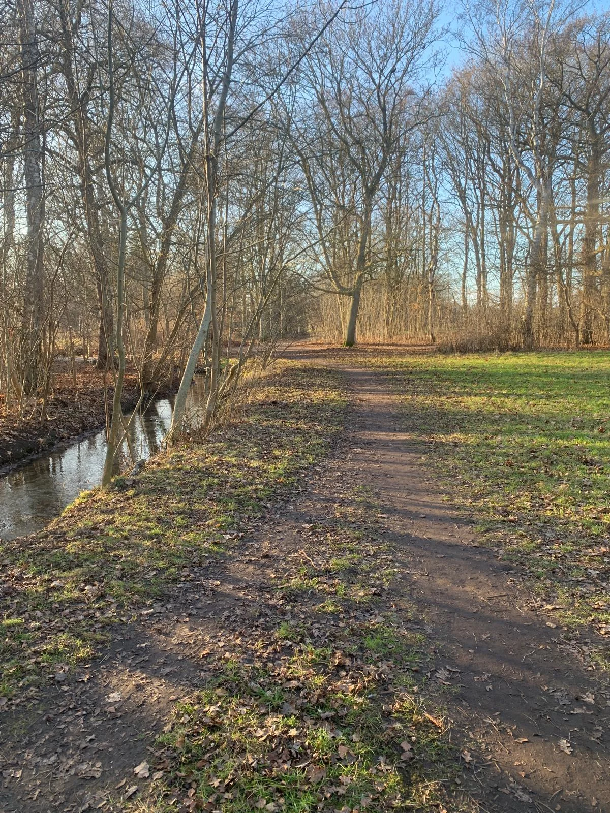 WhatsApp Bild 2025-02-05 kl. 17.38.26_08b5ab24.webp