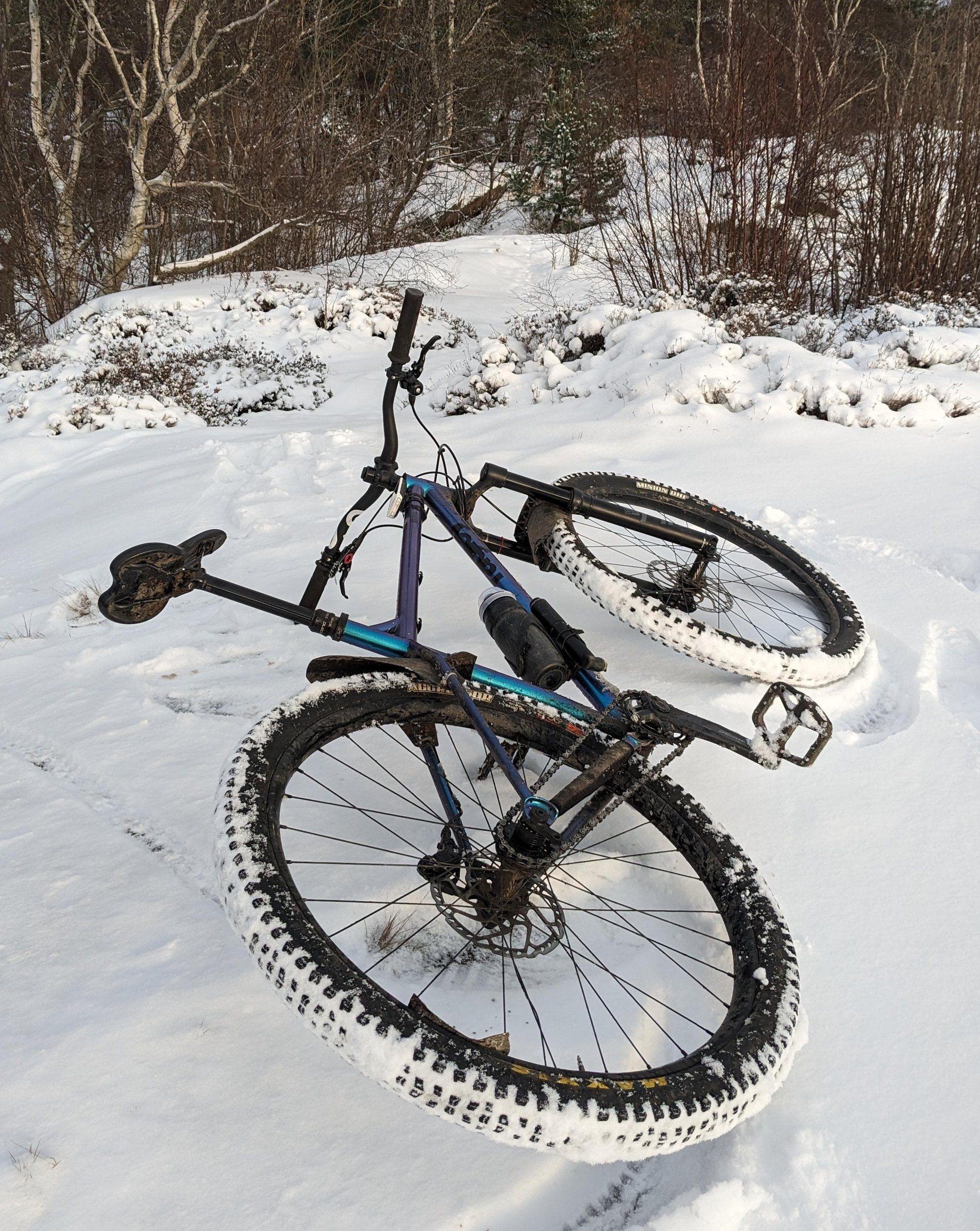 WhatsApp Image 2023-12-07 at 16.01.32.jpeg