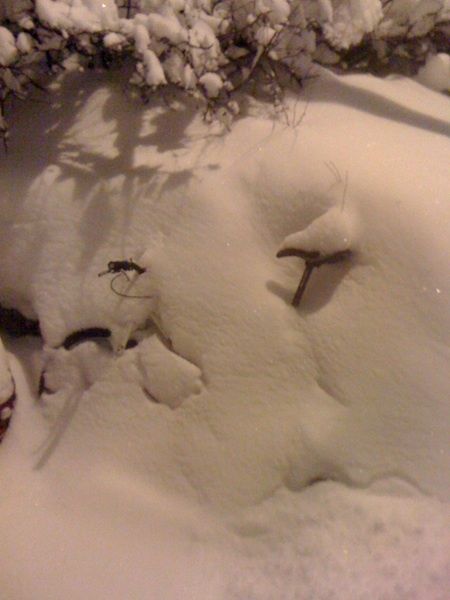 whitechristmas.jpg ht=600