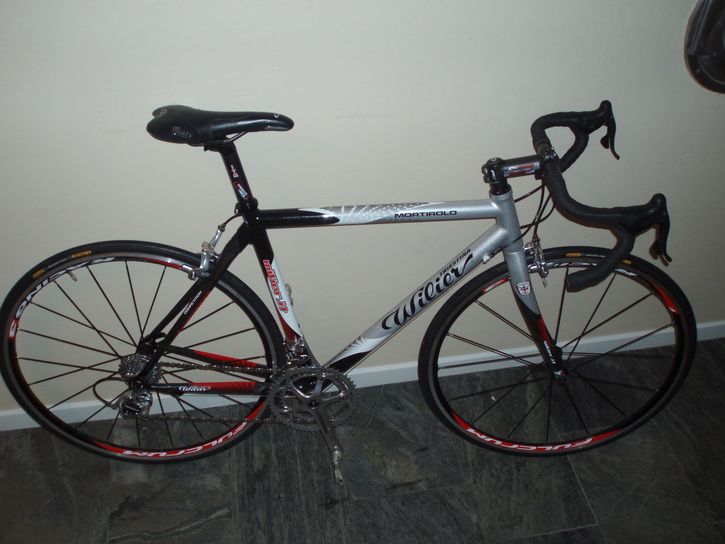 wilierhel.JPG ht=544