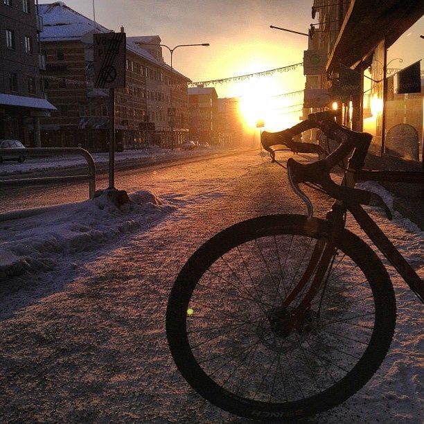 wintermorning.jpg