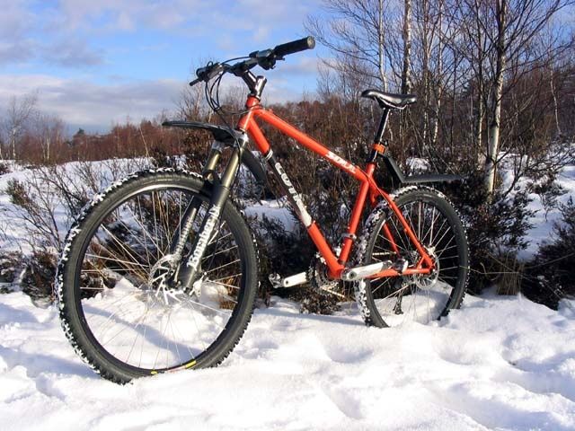 wintersoul.jpg ht=480
