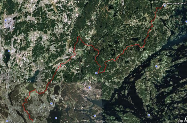 witchride2008.jpg ht=477