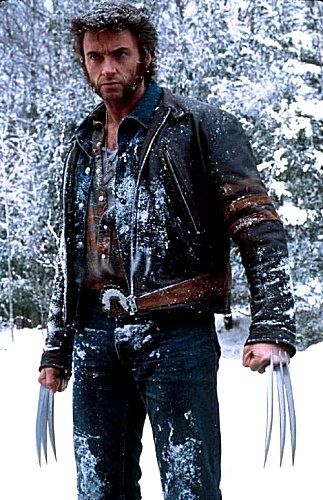 wolverine3.jpg ht=500