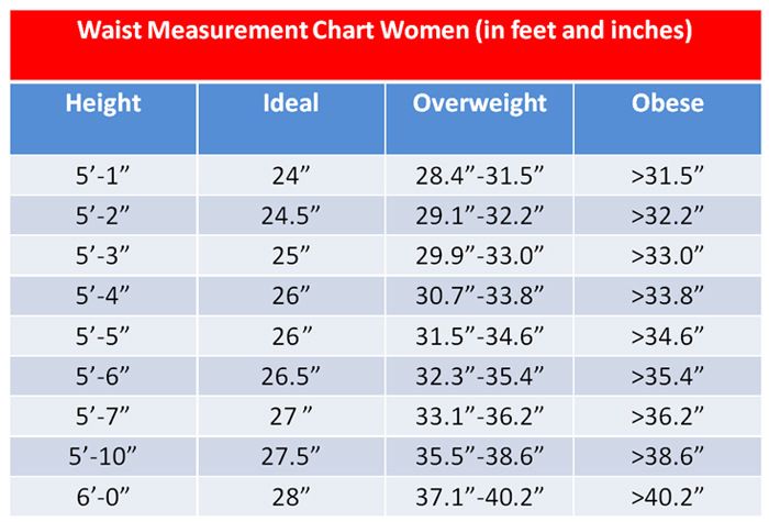 women-waist.jpg