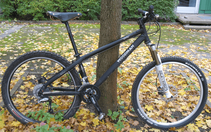 woodman_witchrideready.png ht=455