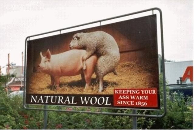 wool.jpg