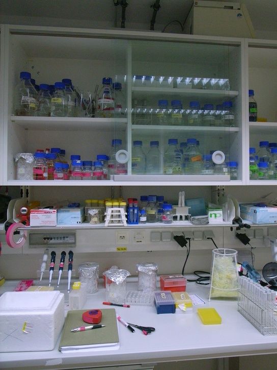 workplace.jpg ht=725