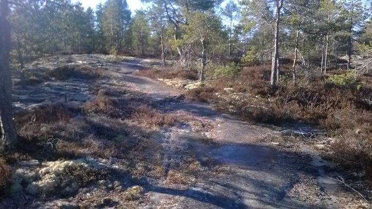 WP_20140326_011.jpg
