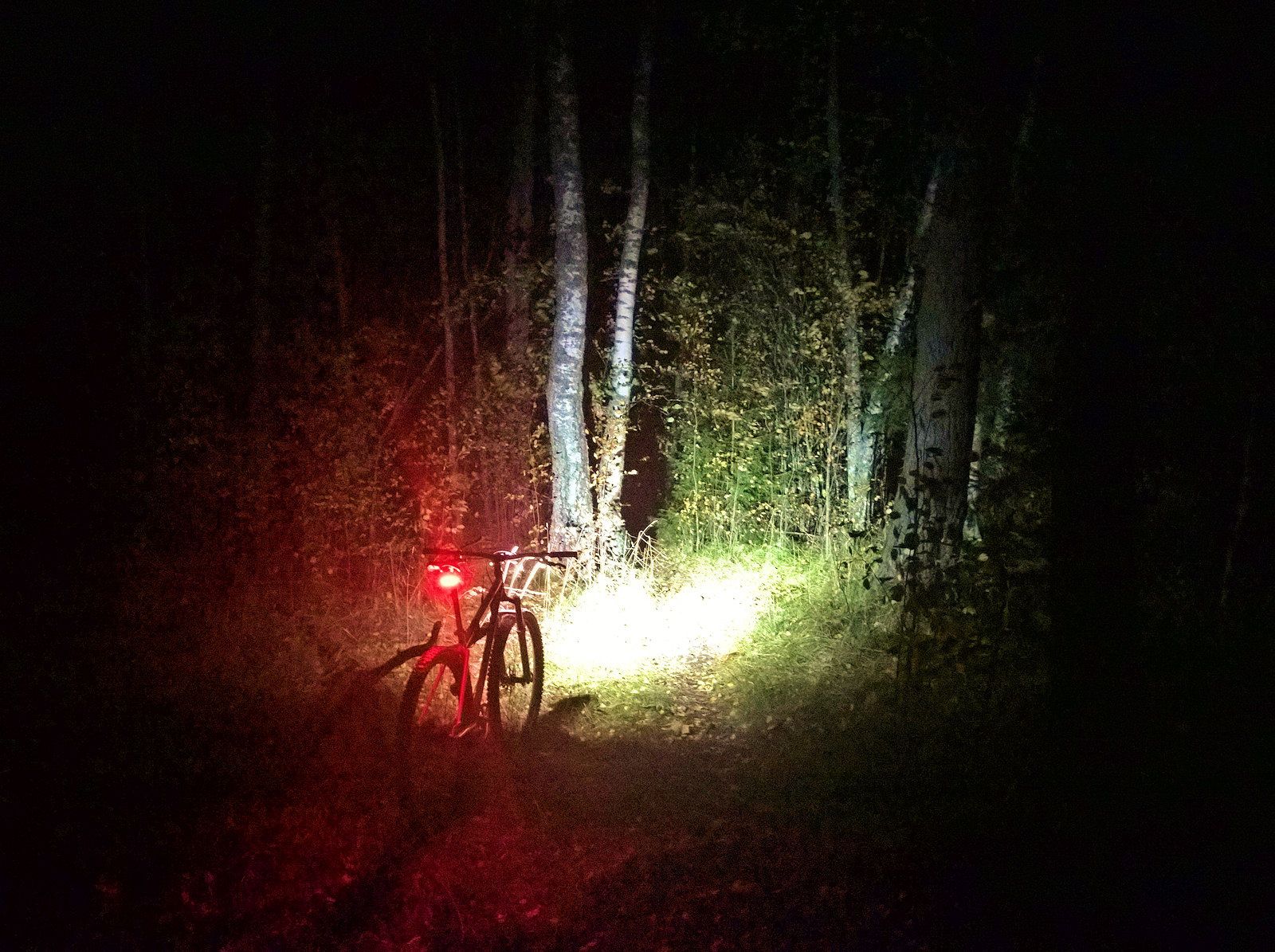 WP_20160929_22_05_46_Rich.jpg