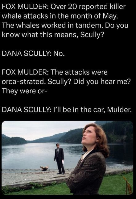 X Files.JPG