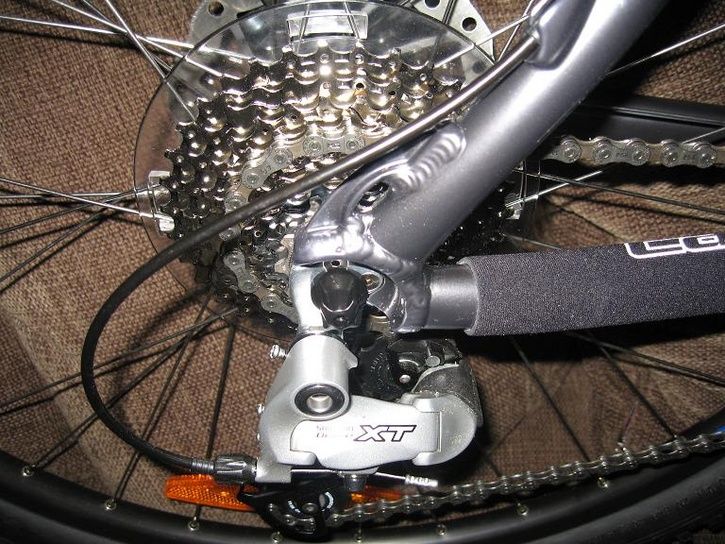 XT.JPG ht=544