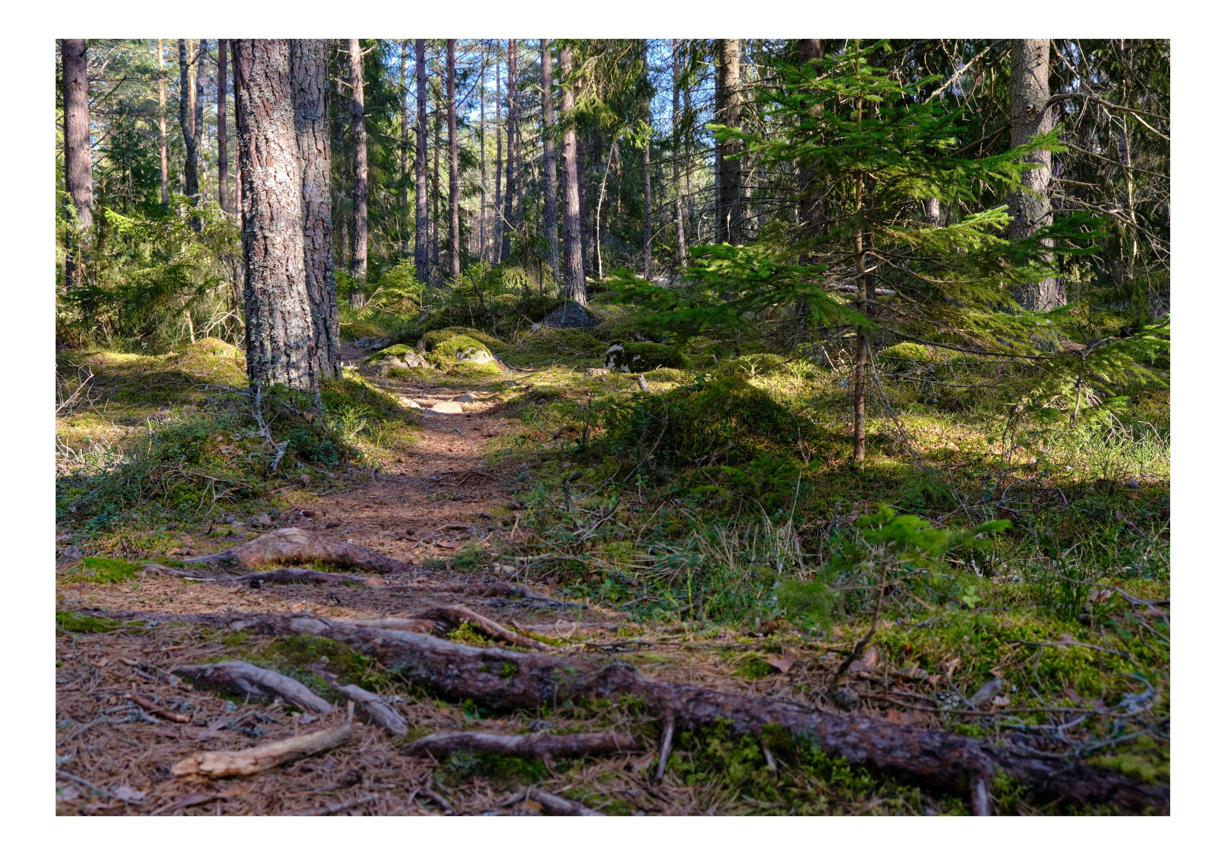 XT30154_border.jpg