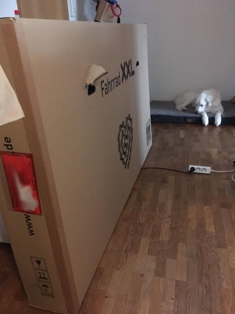 XXL-Paket-1.jpg