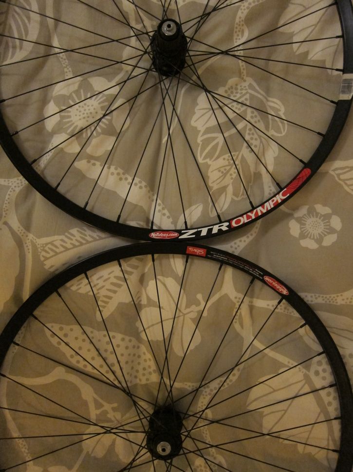 ZTR002.JPG