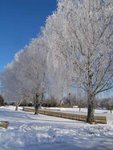 IMG_0722.JPG