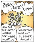 runar_bild1.jpg