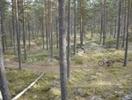 DSC06178.JPG