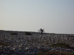 IMGP2233_small.JPG