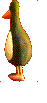 penguin gromit.gif