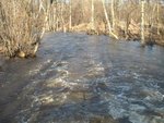 sp03.jpg