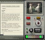 Saluki.jpg