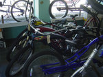 DSC03875.jpg