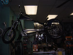DSC03878.jpg