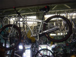 DSC03881.jpg