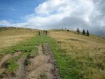 IMG_2600 (Small).jpg