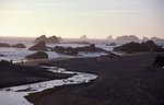 PCH_025_1.jpg