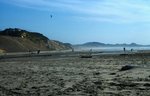 PCH_113_1.jpg