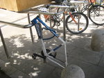 IMG_1246.JPG