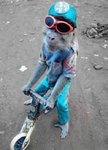7286scooter_monkey.jpg